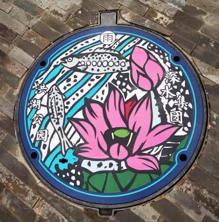藝術(shù)井蓋圖片大全
